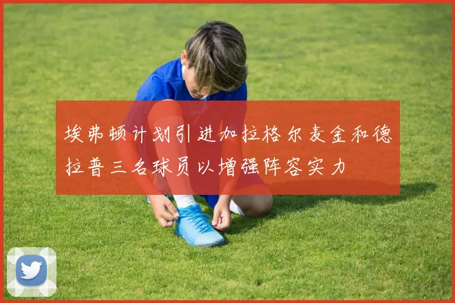 埃弗顿计划引进加拉格尔麦金和德拉普三名球员以增强阵容实力